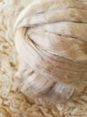 Hazelnut - Tussah Silk